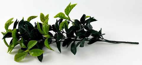 Used Extra Large PLASTIC Shikimi Leaves (19" Long)