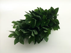 Large Silk Shikimi Leaves (19" Long)
